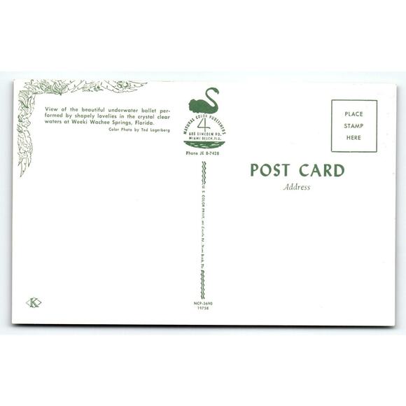 Weeki Wachee Mermaid Florida Postcard Women Underwater Acrobat Chrome Unused - Picture 2 of 2